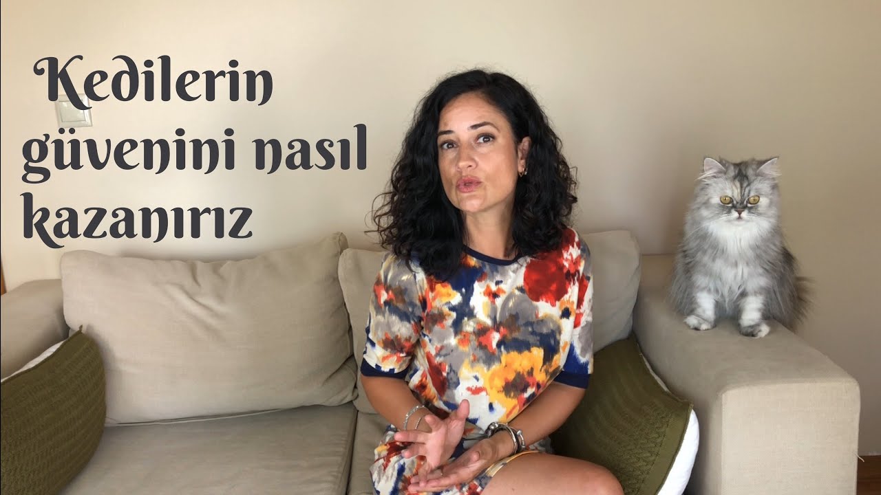 Hem ev kedilerinin hem de sokak kedilerinin güvenini 11 maddede nasıl kazanırız