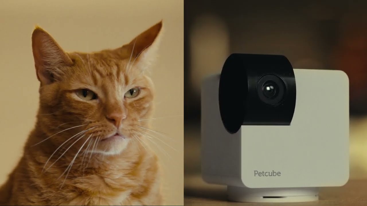 Welcome Petcube Cam 360 - All-in-one 360&deg; view pet camera