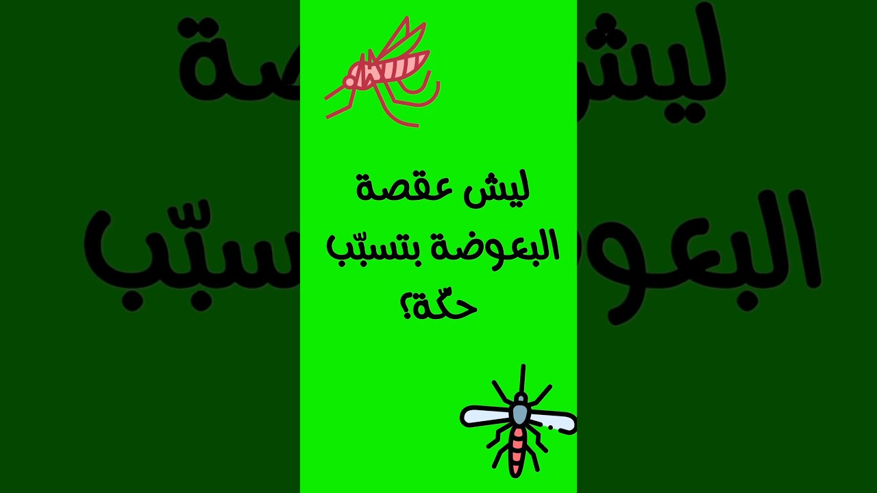 ليش عقصة البعوضة بتسبّب حكّة؟🦟