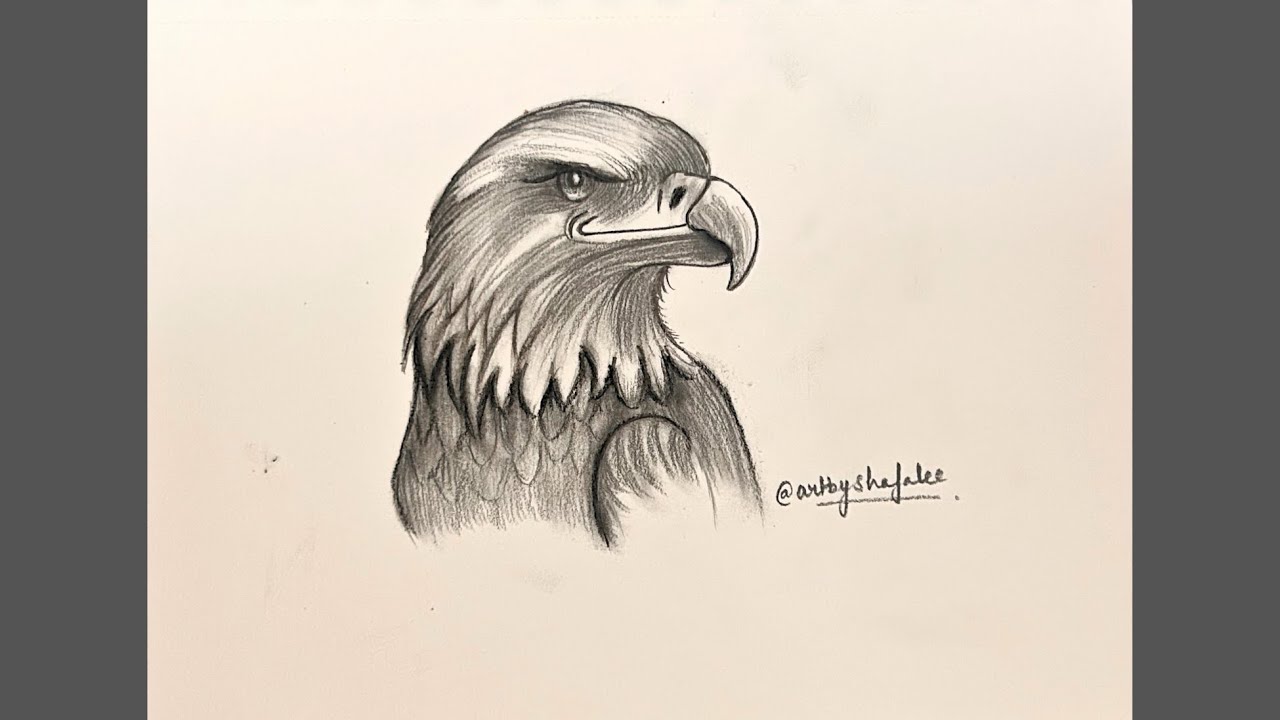How to Draw Eagle | Easy drawing of Bird Eagle for Beginners Kids | Drawing Ideas realistic easy