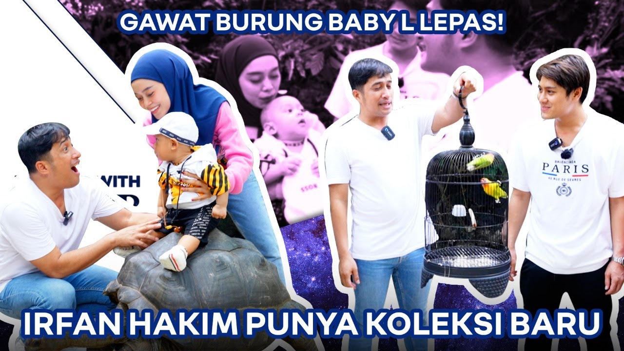 KIYUUUUUT!! BABY L LIAT KOLEKSI BURUNG DI AVIARY IRFAN HAKIM & NAIK KURA-KURA