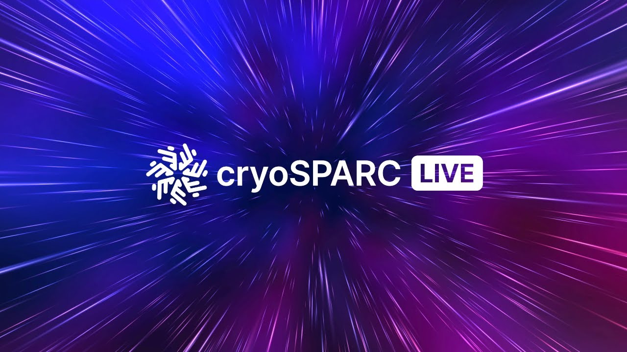 CryoSPARC Live Walkthrough