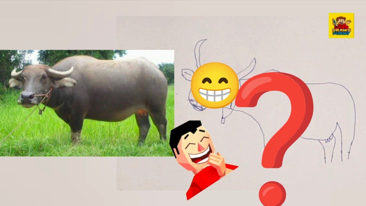 How funny is this buffalo drawing? Let's watch it to the end 🐃😁
