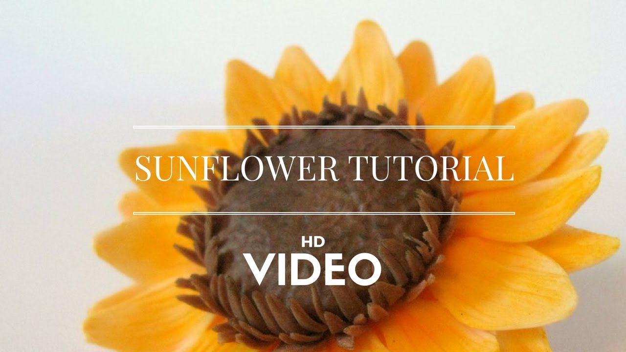 Sunflower Making Tutorial for Kids HD | Aishu | Mohan Clarke | AM English Channel