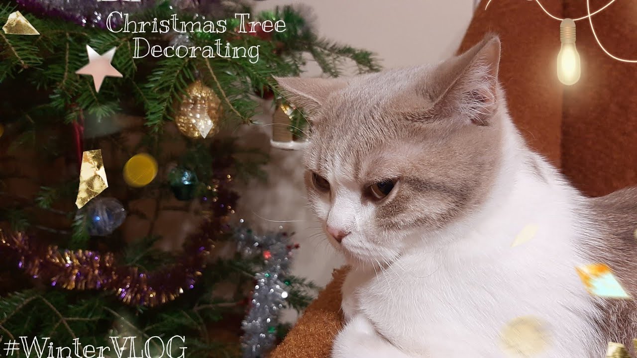 Winter VLOG | Christmas Tree Decorating