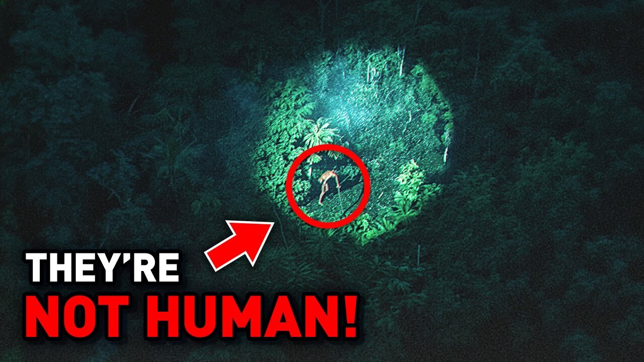 Top 10 Real Footage from the Amazon That Rocks the Scientific World!