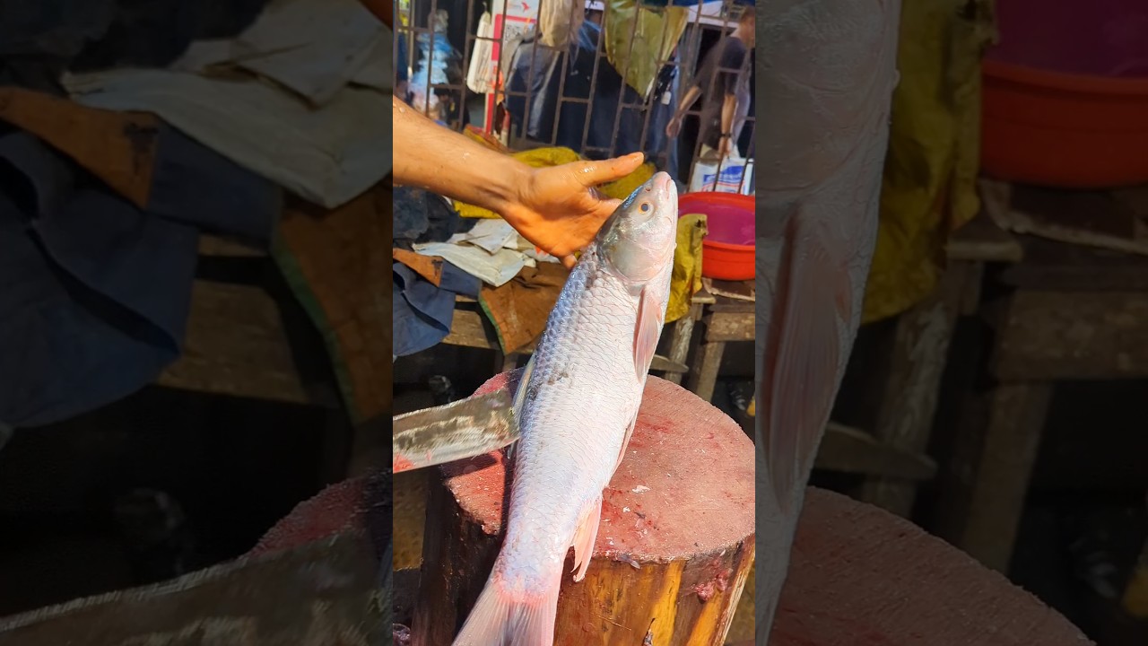Amazing Big Mrigal Fish Cutting Skills Live In BD Fish#500Market