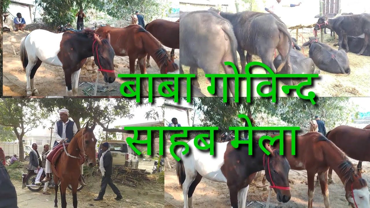 पुर्वांचल प्रसिद्ध मेला बाबा गोविन्द साहब