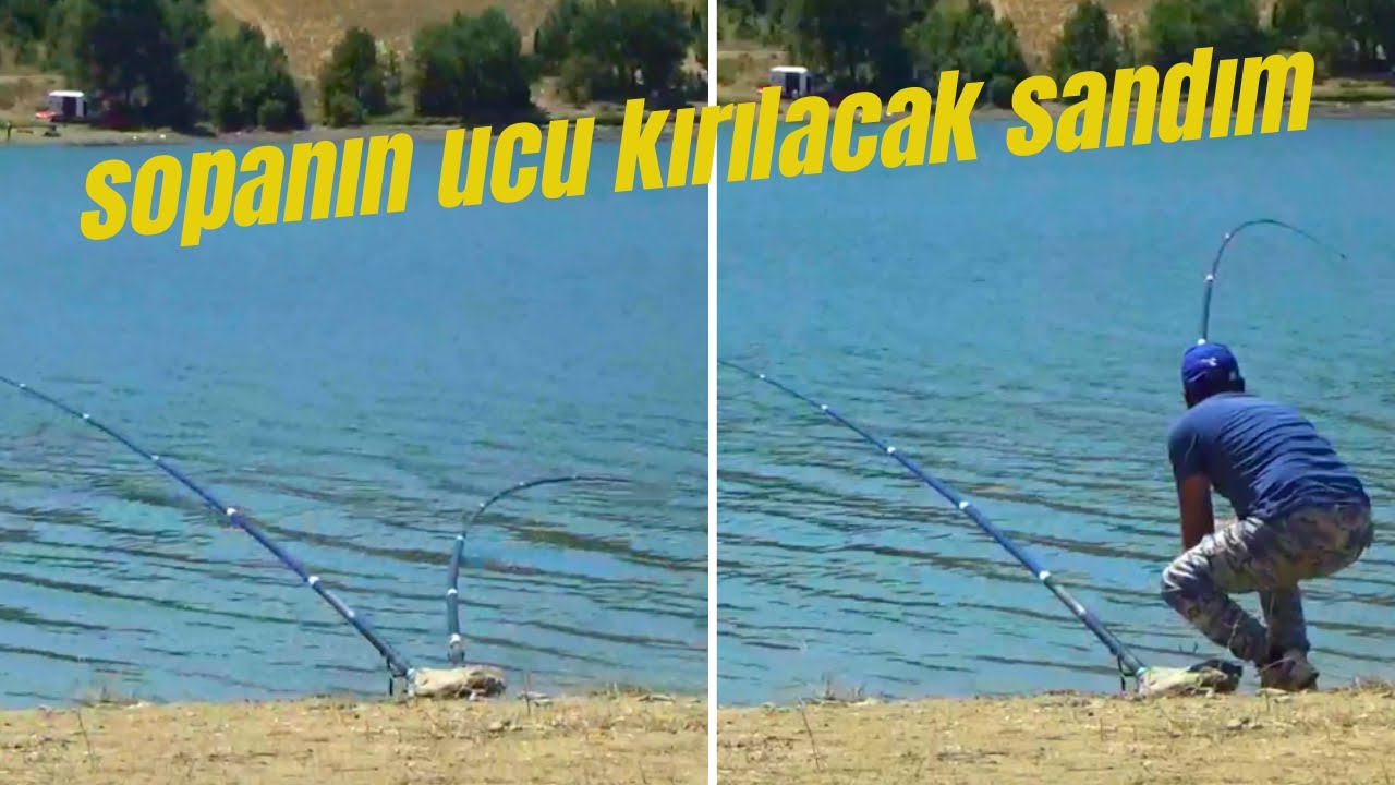11 Gün Tek Başıma Kamp Yaptım | 2.BÖLÜM | #sazan #kamp #balıkavı #camping #fishing #bait #carphunter