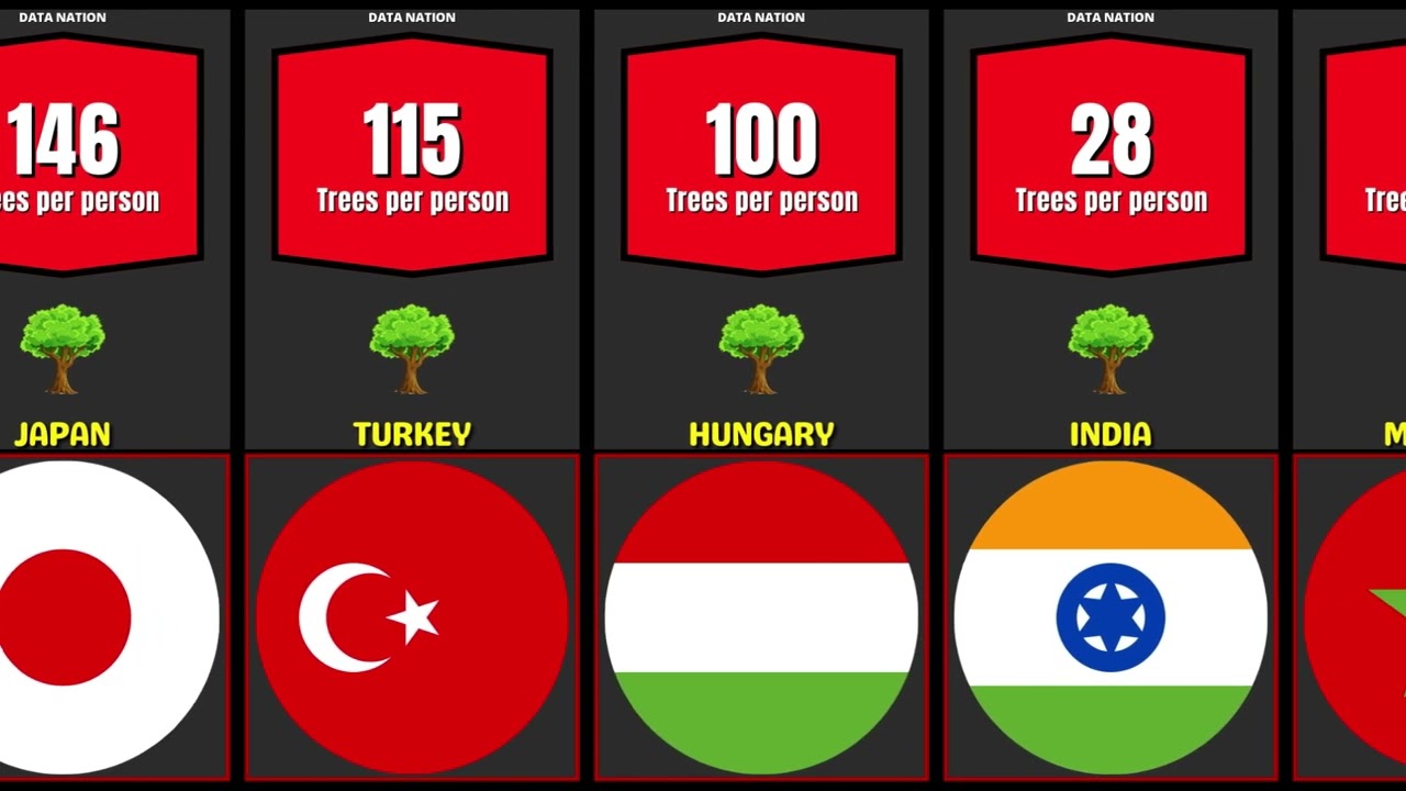 Number of Trees Per Person Of Different Countries