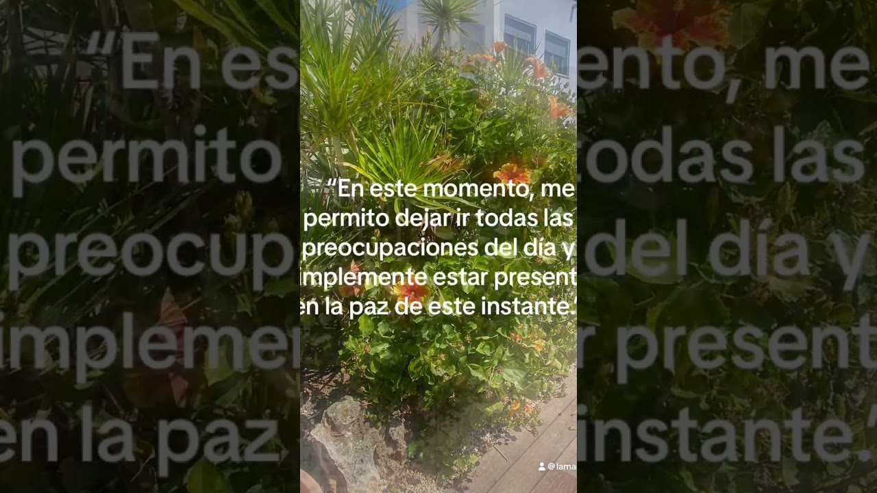 Mindfulness#relajaci&oacute;nguiada #lamamiviajera