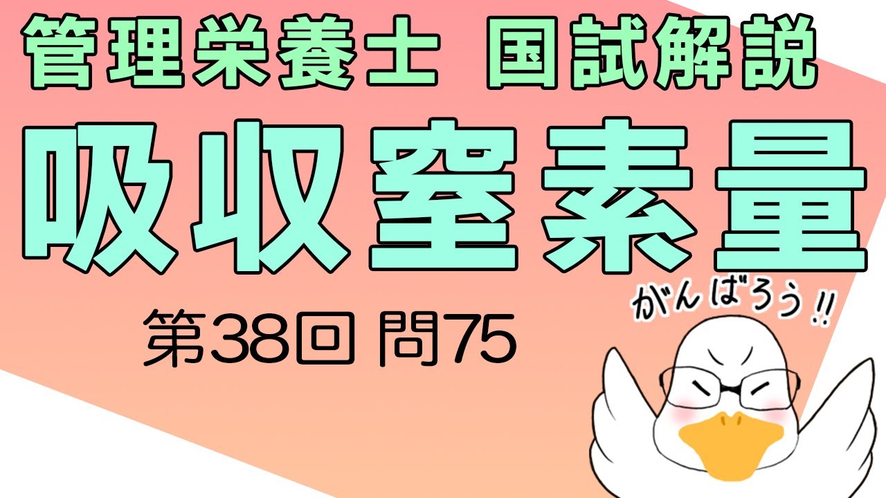第38回 管理栄養士国家試験 解説 問75 窒素吸収の計算
