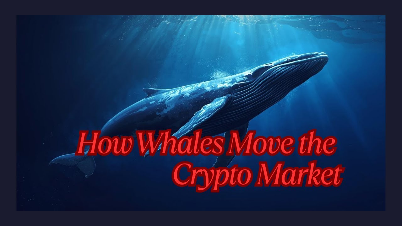 How Whales Move the Crypto Market
