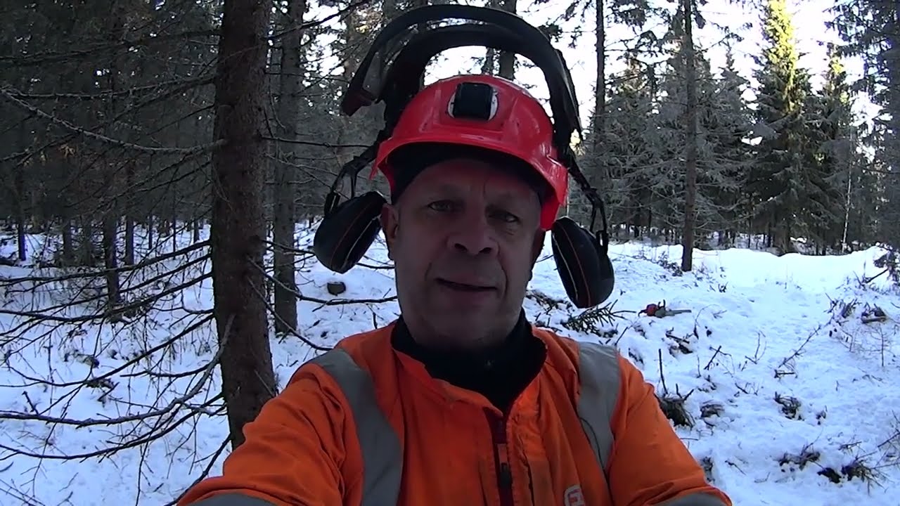 Metsolan Metsäkoulu 311 - Sahahenkilön 3 pahinta virhettä eli miten tehostat kaatotyötä