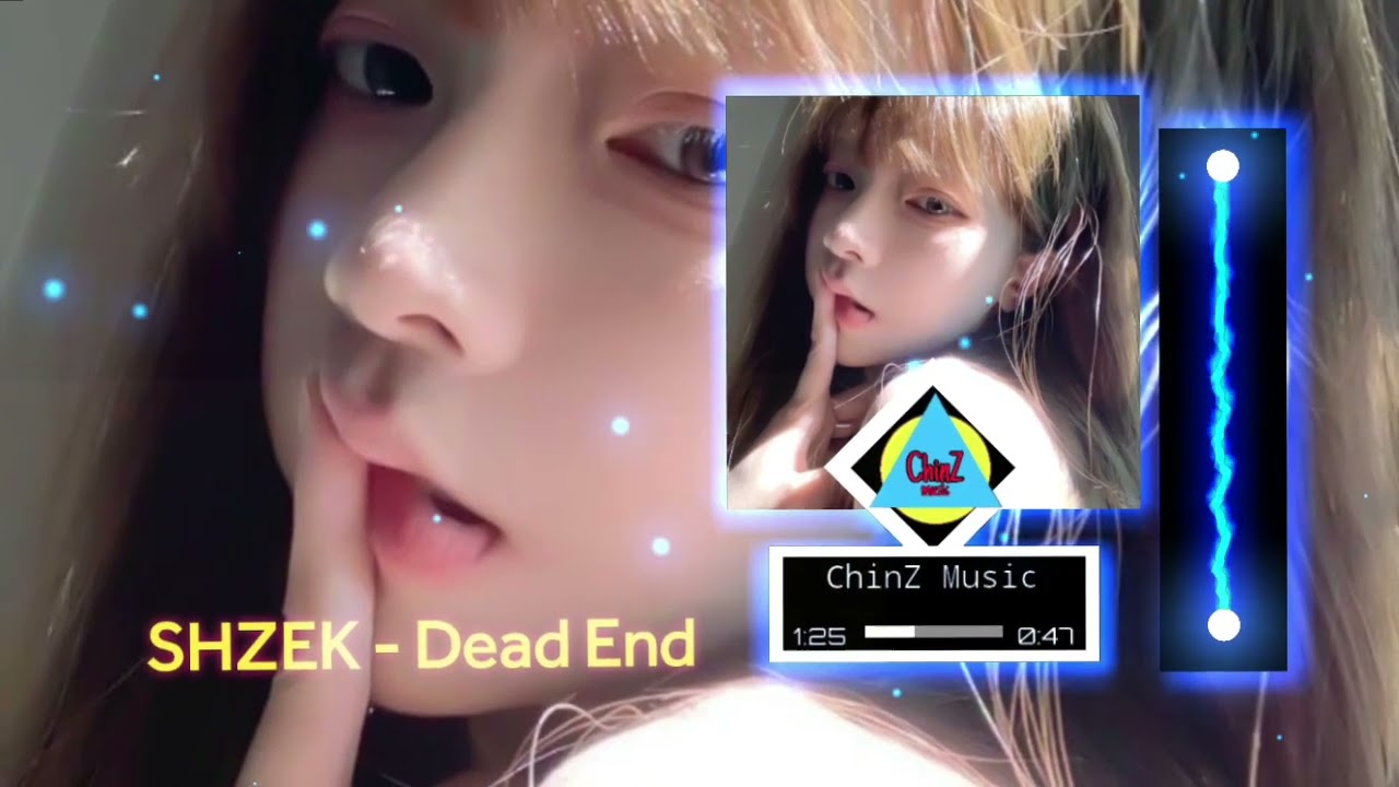 SHZEK - Dead End (Remix 2026)