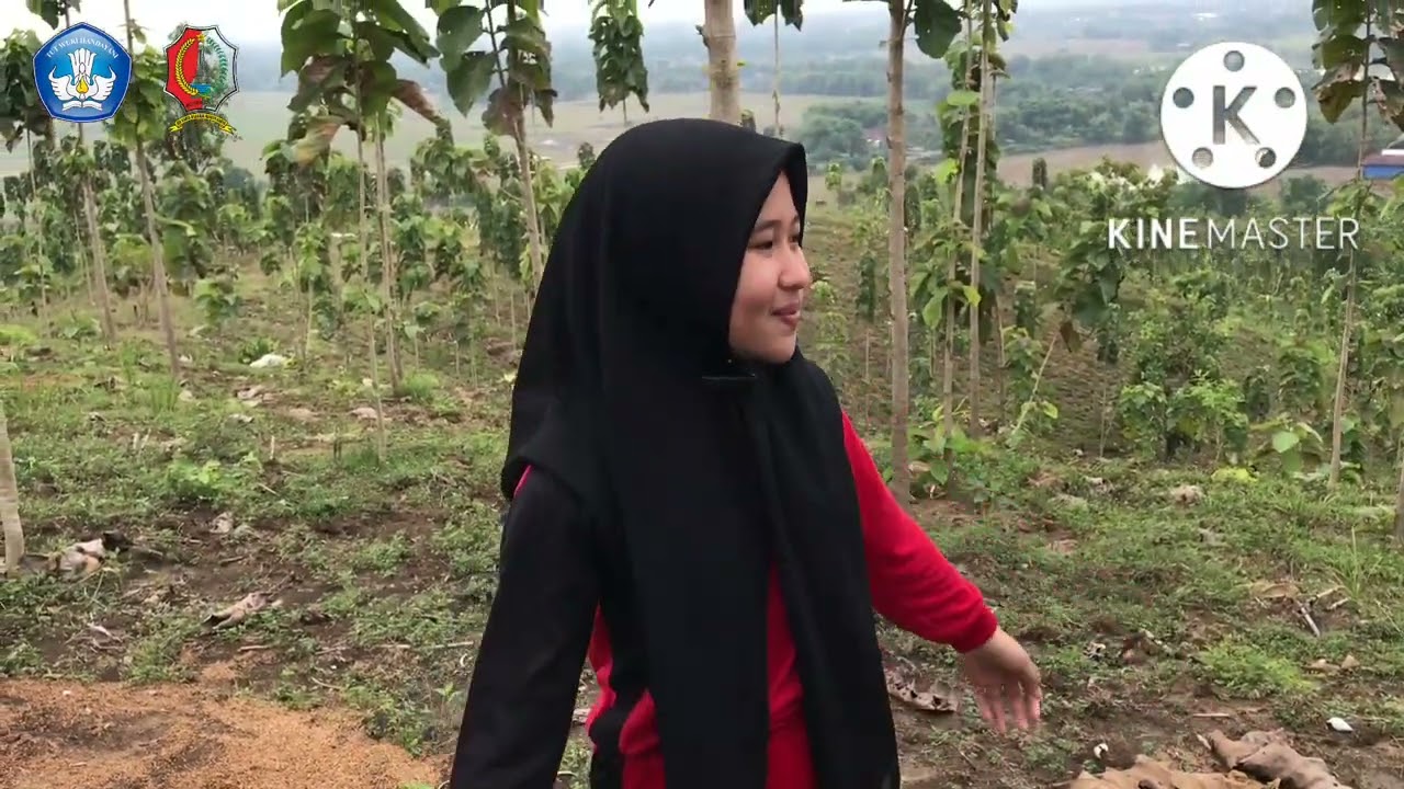 VLOG BUKIT SRUNGGO MALO | SDN TANGGIR I KEC. MALO
