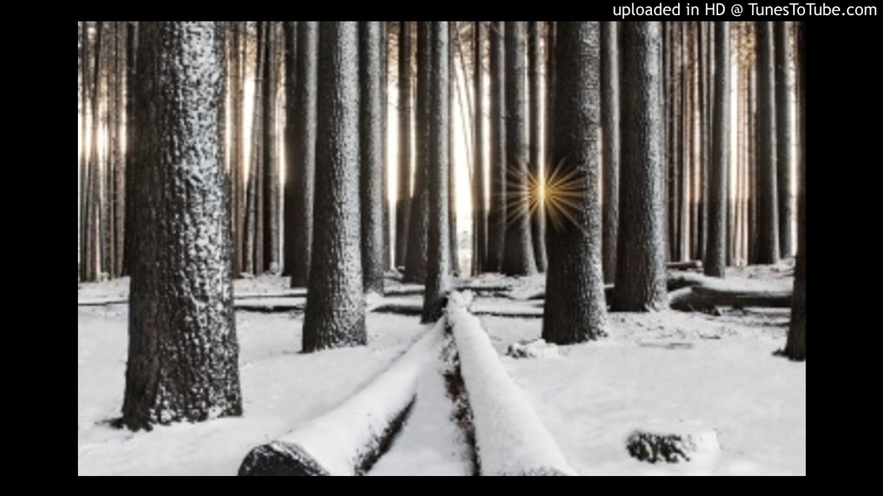 Most Lenyora, Komplexity & Decency Ft Dindy - Never Leave (Original Mix)