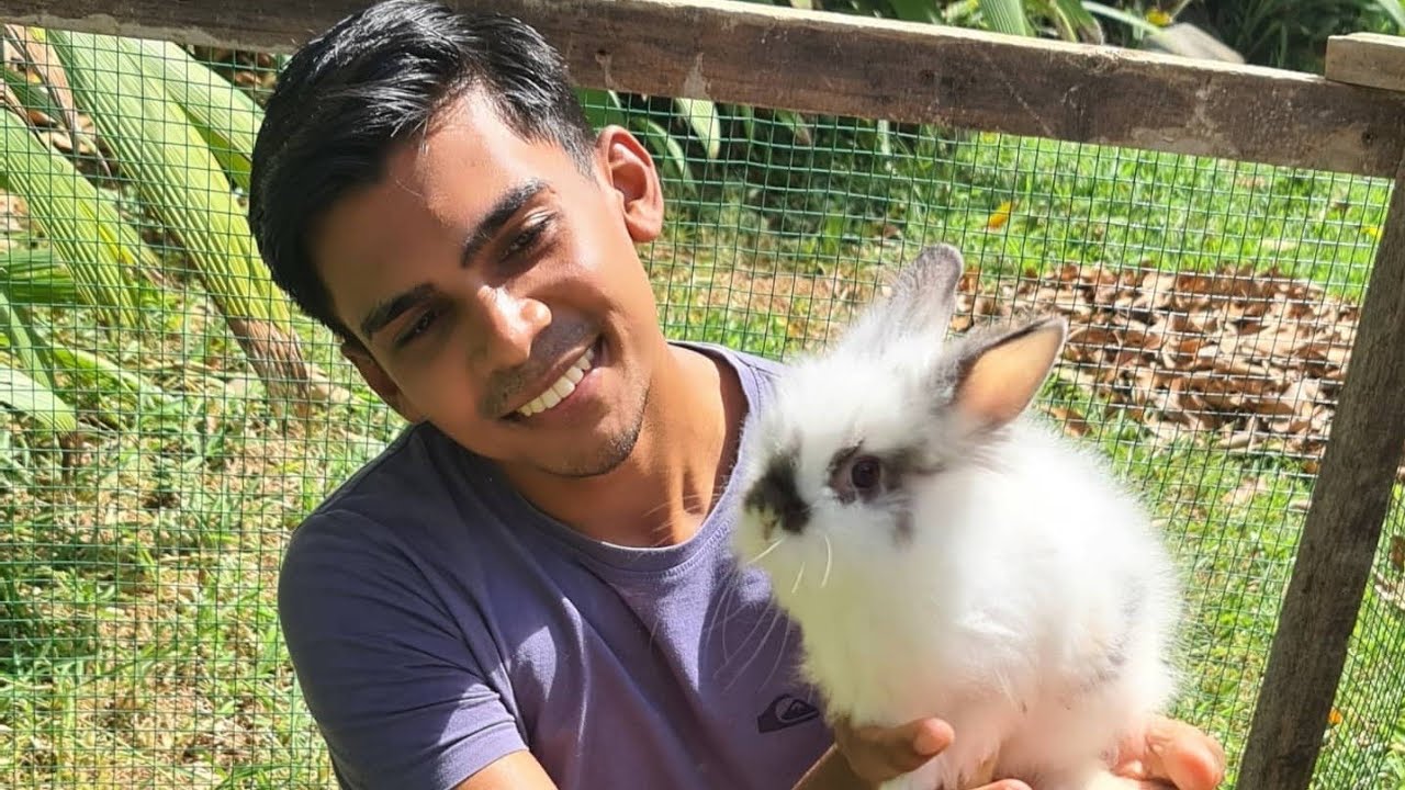 Friends FurEver Farm | Birds | Rabbits | Ducks | Chickens | Dogs | Mauritius Island