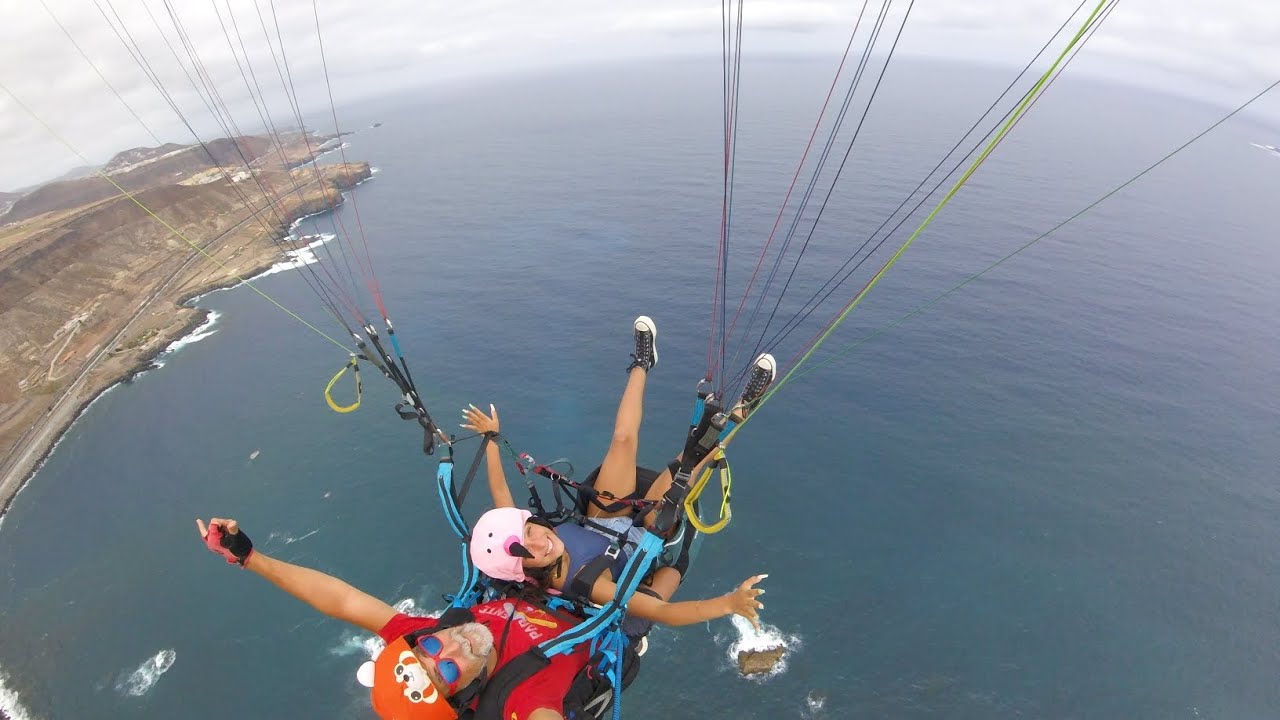 Un flamenco volador ! 😀🤙