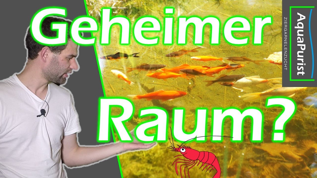 Geheime Kaltwasser-Anlage? Was k&ouml;nnte da noch kommen?