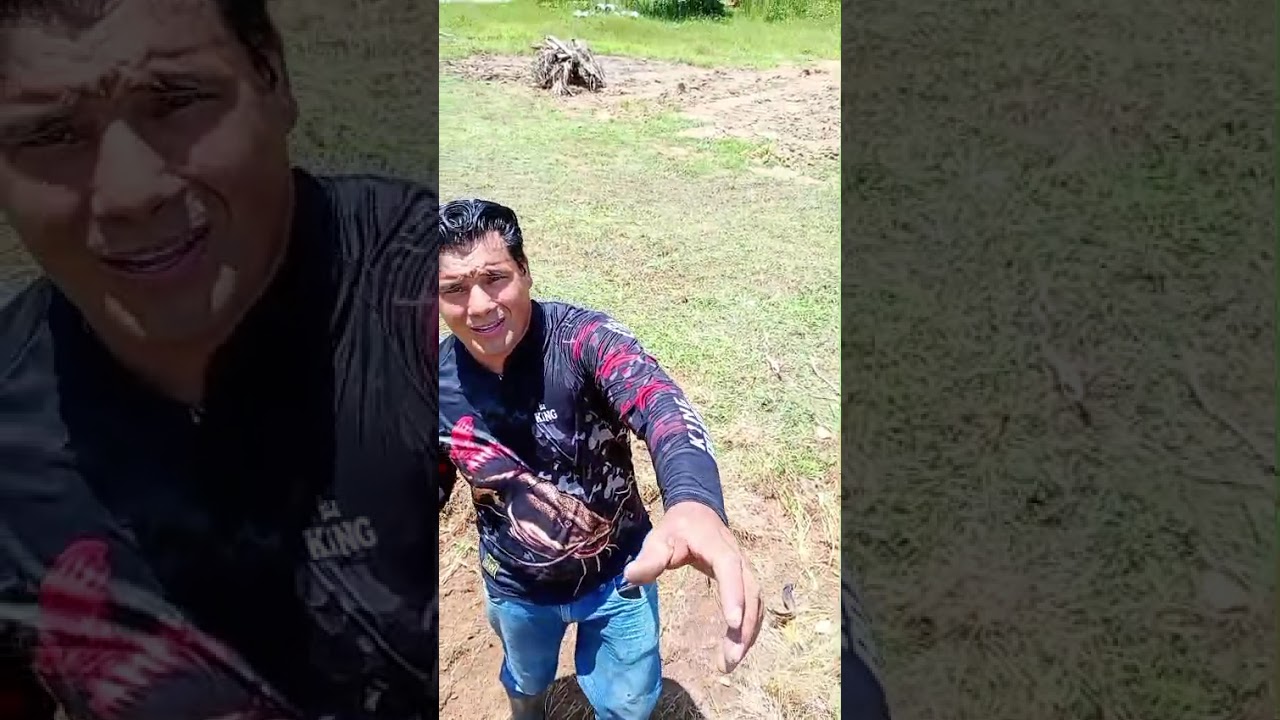 QUANDO ALUGAMOS A ROÇADEIRA E NAO DEU P USAR