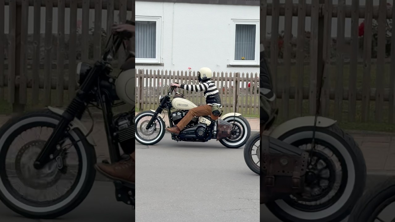 Harley Softail