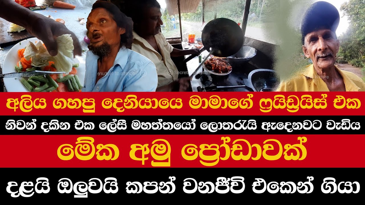 අලිය ගහපු දෙනියායෙ මාමාගේ ෆ්‍රයිඩ්‍රයිස් එක | නිවන් දකින එක ලේසී මහත්තයෝ ලොතරැයි ඇදෙනවට වැඩිය