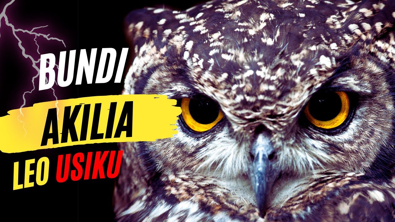BUNDI AKILIA INAMAANISHA NINI