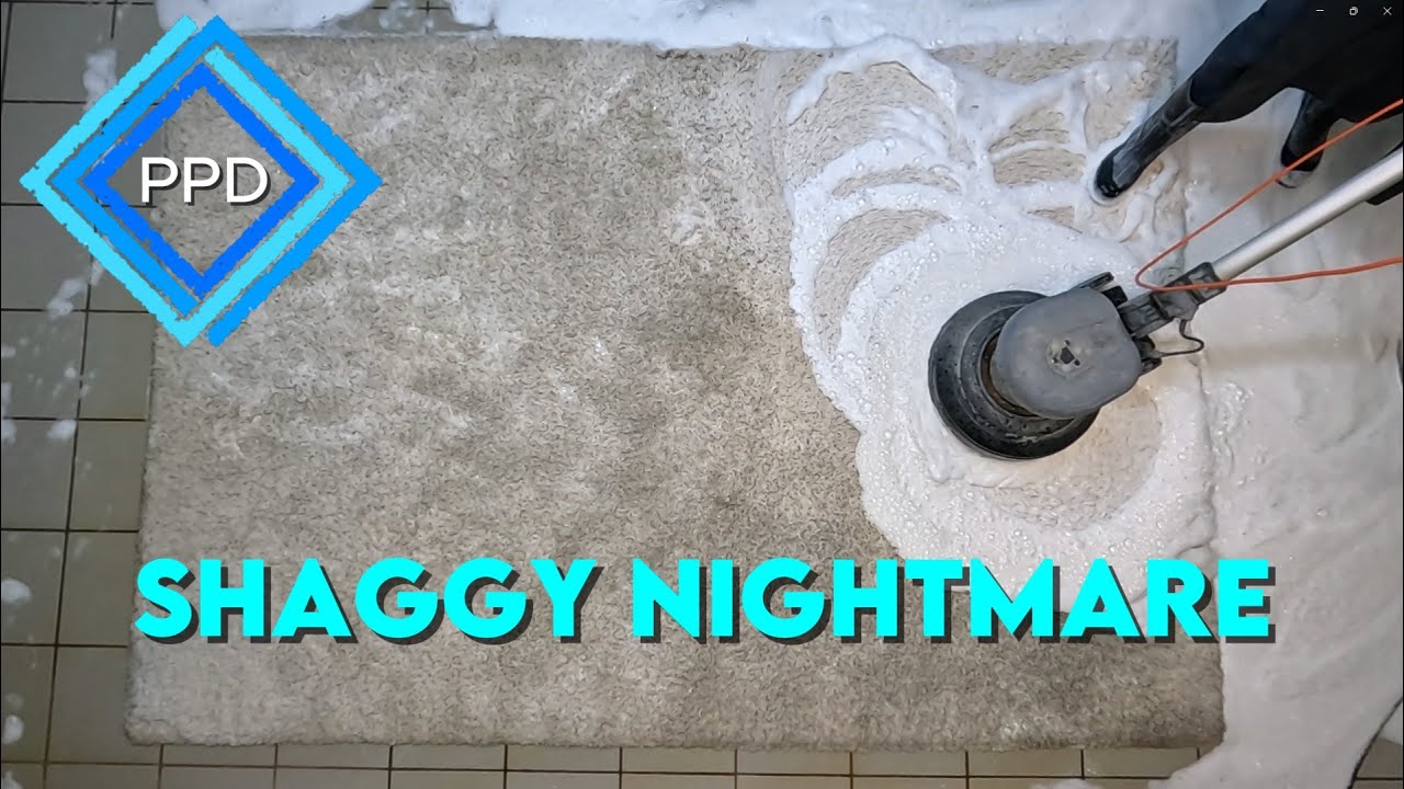 PPD - Shaggy nightmare - Asmr carpet cleaning - Pranie dywanu
