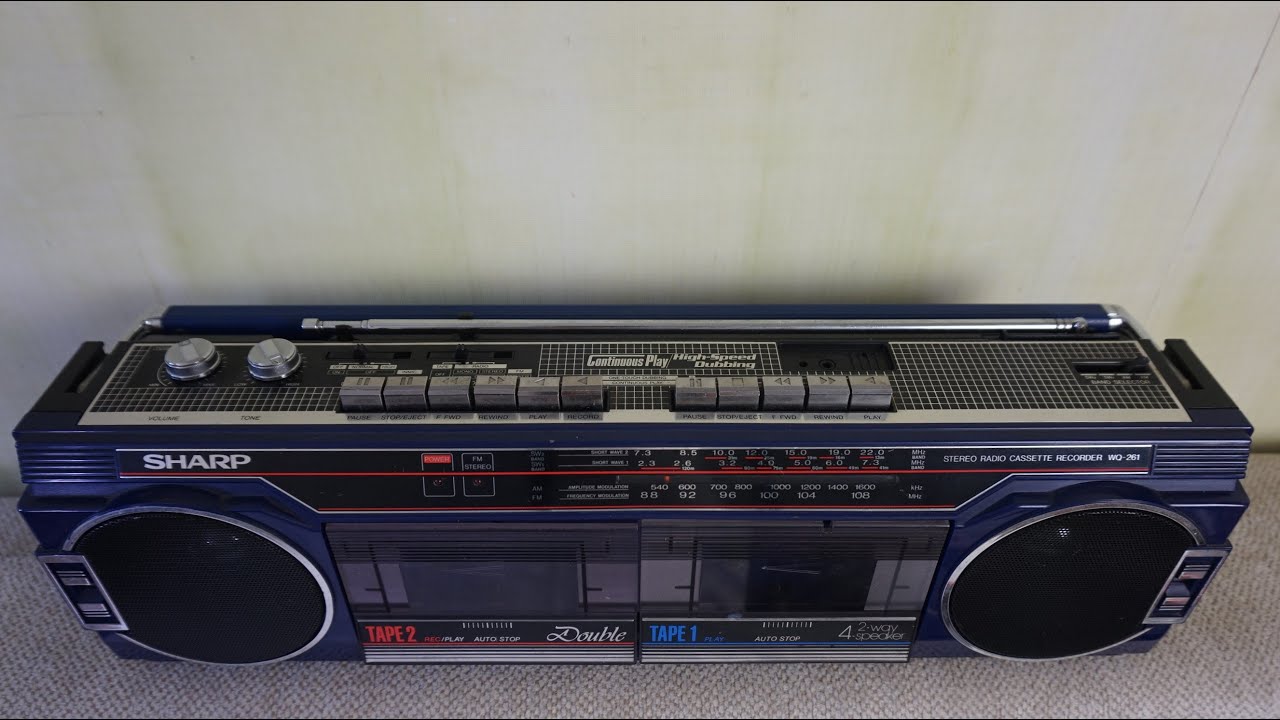 Sharp WQ-261Z(BL). Молодец против овец...