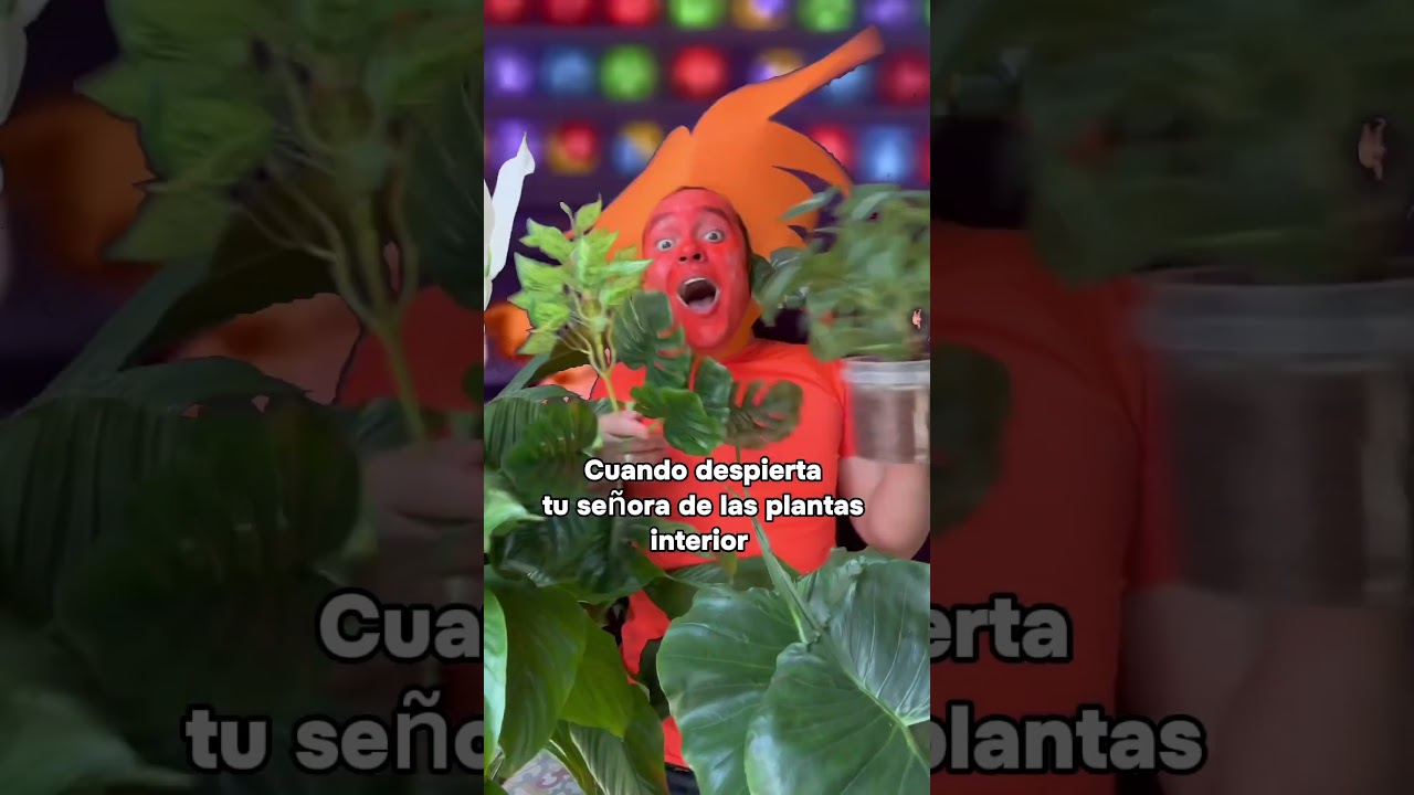 😂😂😂 #plantadeinterior #insideout