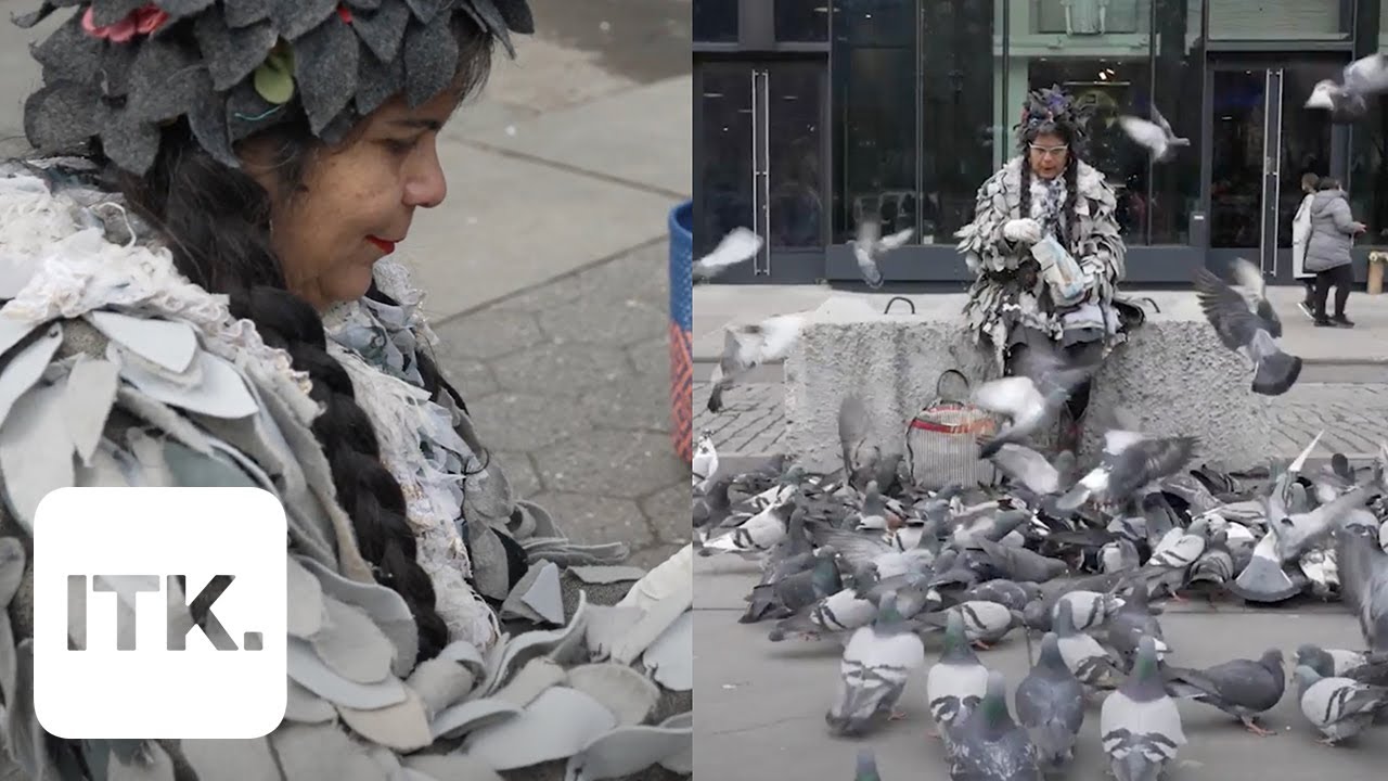 Meet NYC's Mother Pigeon: 'My whole world revolves around taking care of pigeons'