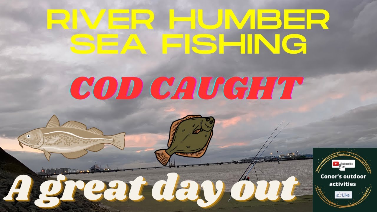 River Humber Sea Fishing with Steve D, Cod and Flounders caught