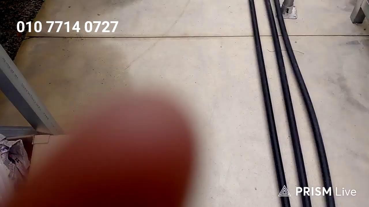 💫실마리다육 라이브 방송