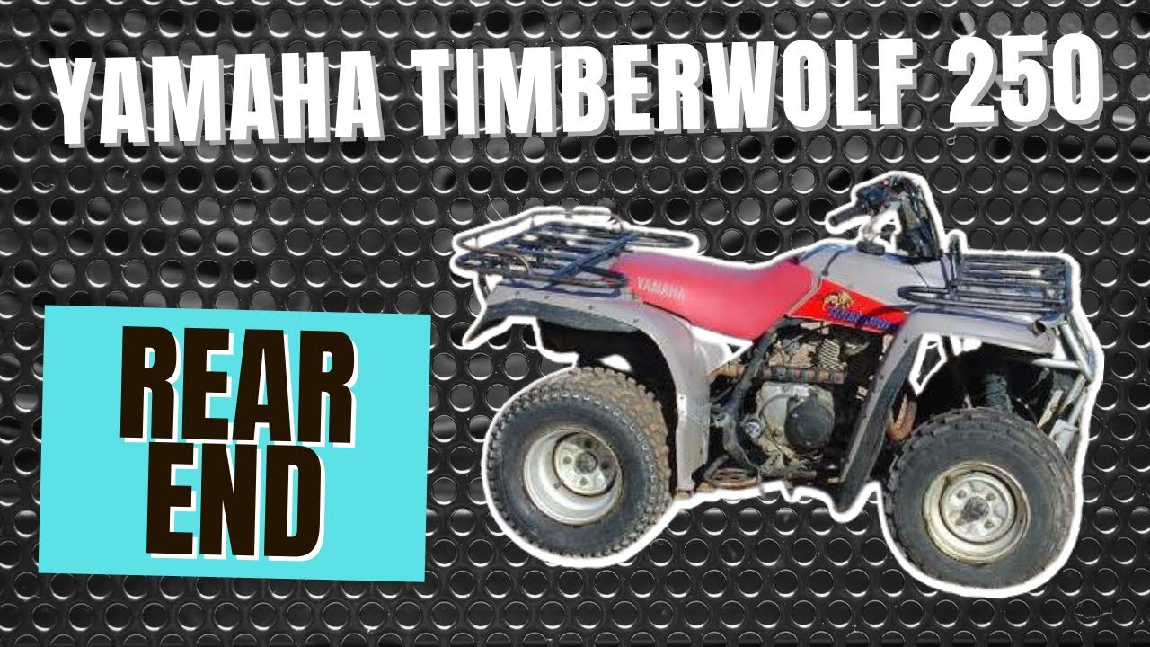 Yamaha Timberwolf 250 - Rear End - Differential - Rear Brake Replace / Install / Axle Removal