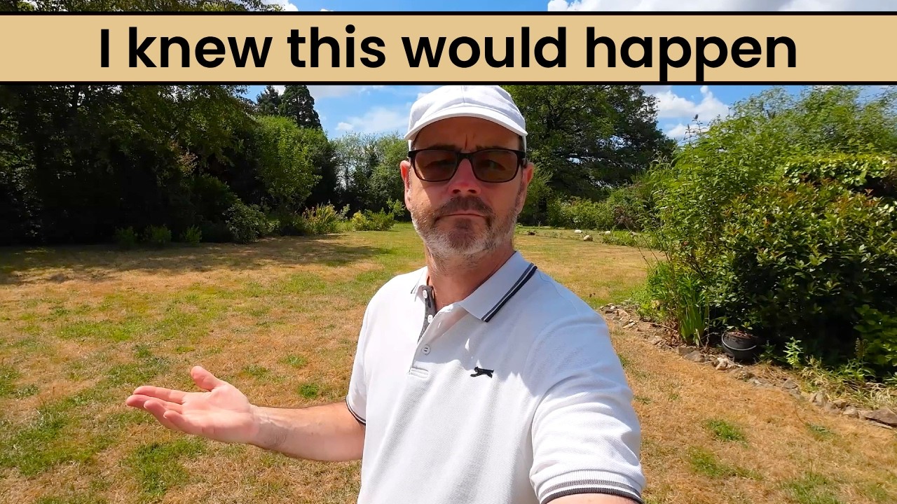 I said this would happen - The realities of living in France - Vlog