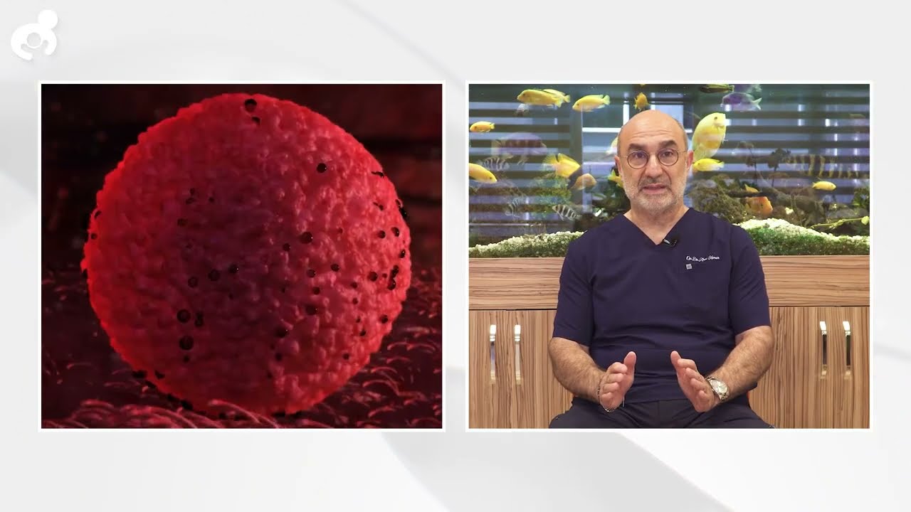Op. Dr. Aret Kamar | Tüp Bebek Öncesi Rahim Hazırlığı
