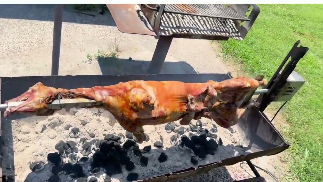 Piknik u prirodi