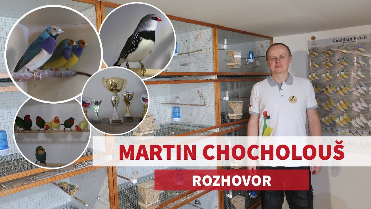 #7 Na návštěvě u Martina Chocholouše