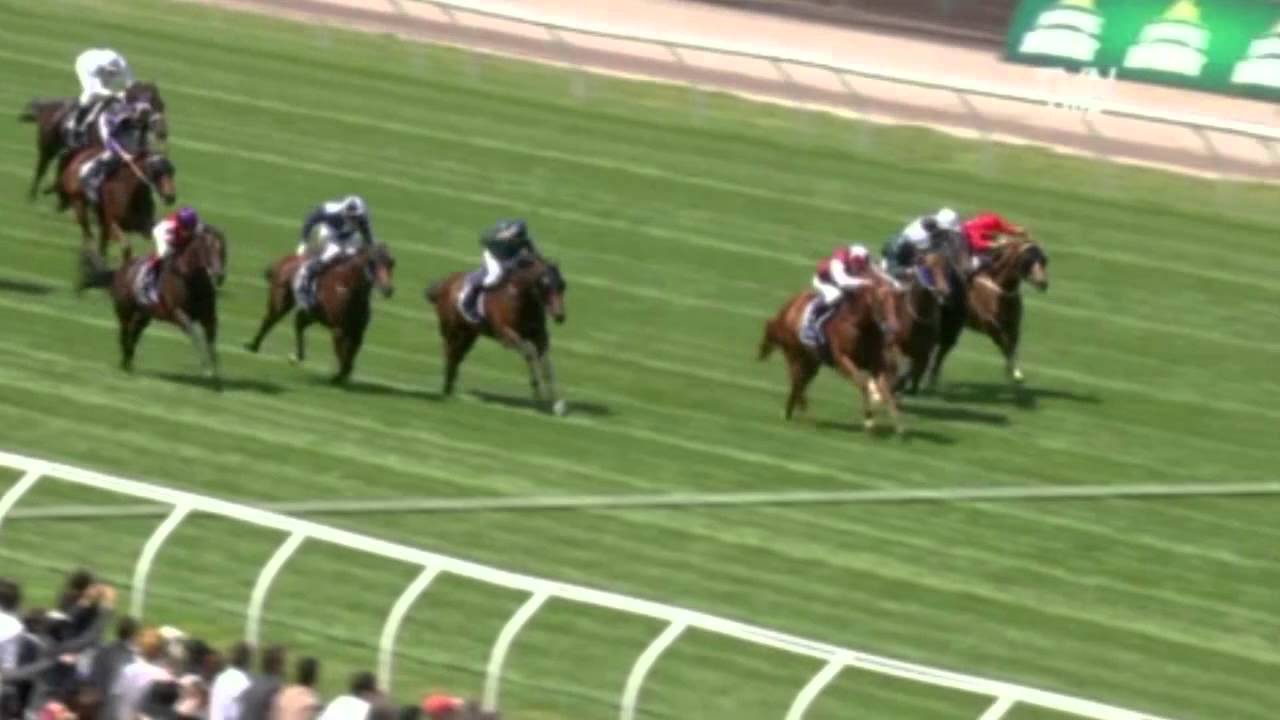 2011 Coolmore Stud Stakes - Sepoy