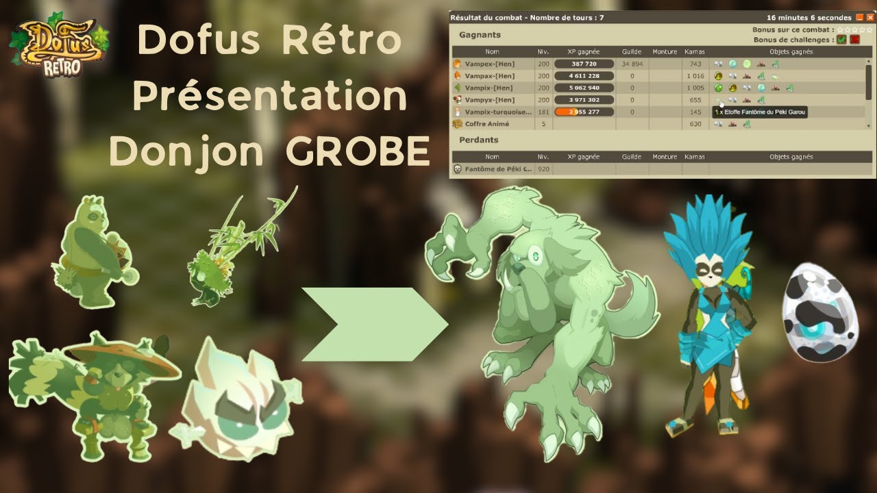 Dofus Rétro, Présentation complète Donjon GROBE !! Péki GAROU 🤯🔥