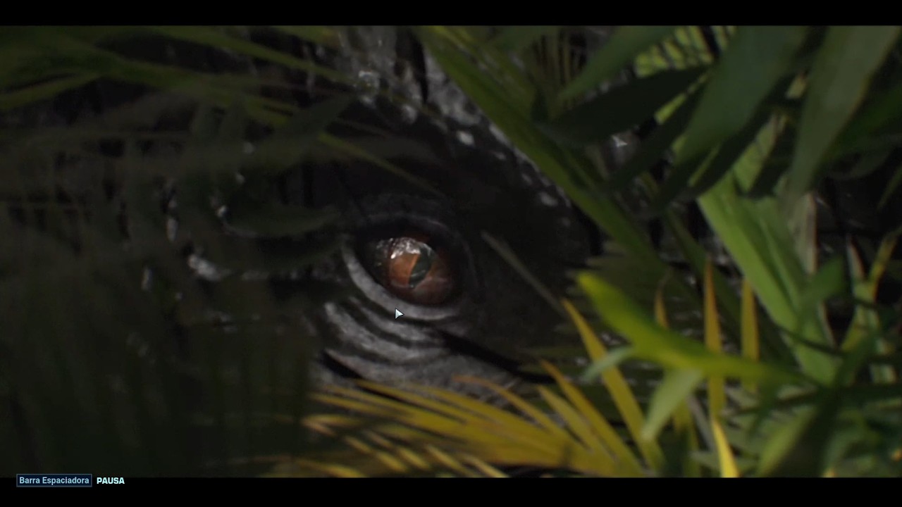 JURASIC WORD LA TEORIA DEL CAOS #14 || LA TEORIA DEL CAOS JURASSIC WORD EVOLUTION 2.