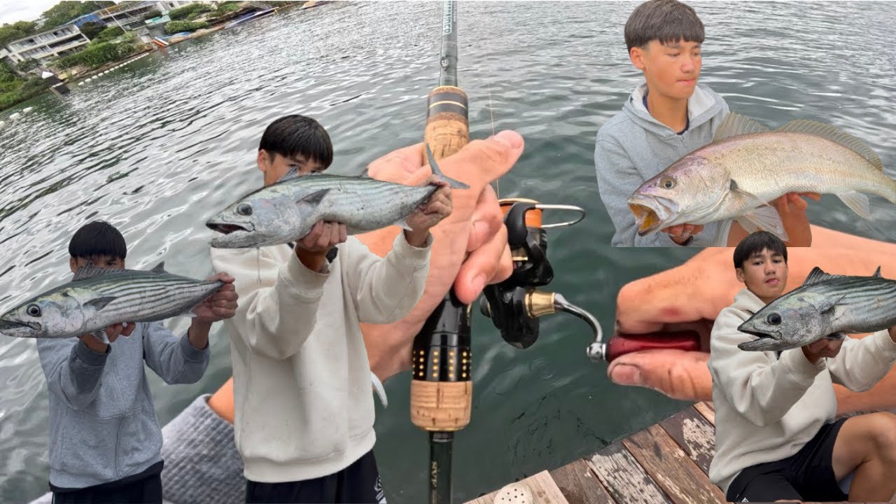 Non-Stop Action Fishing Sydney Harbour | Bonito & Salmon