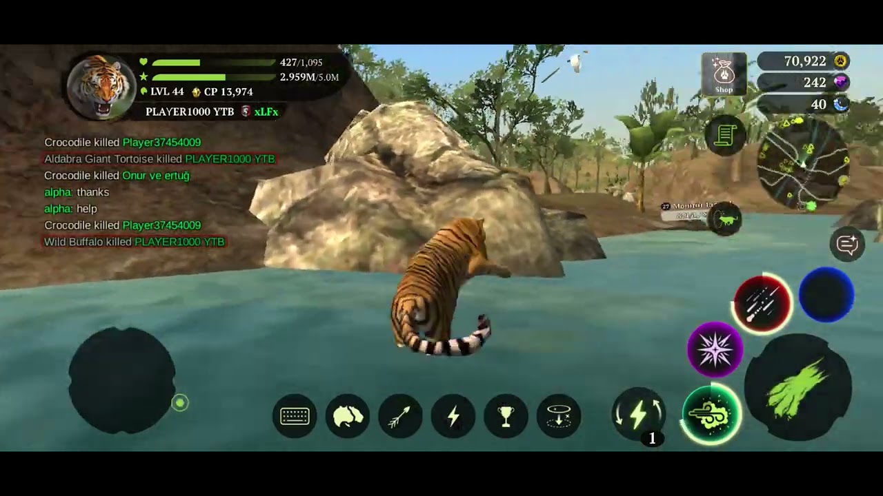 Tiger game playing in Coop 4.