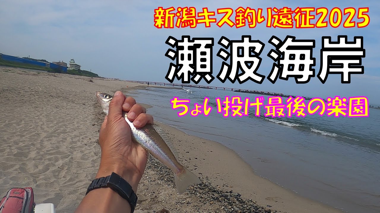 【新潟キス釣り遠征2025】＠瀬波海岸…温泉街から見える海