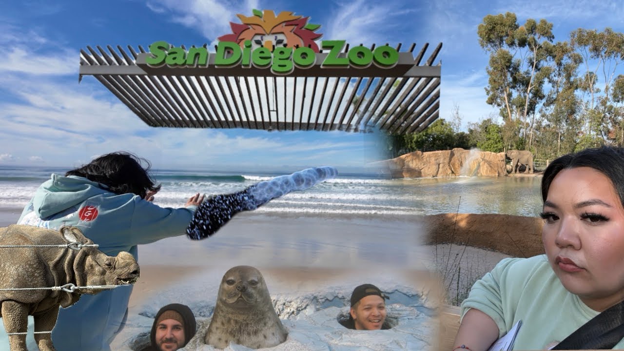 San Diego Vlog part 3 | beach waterbending & surprise zoo trip