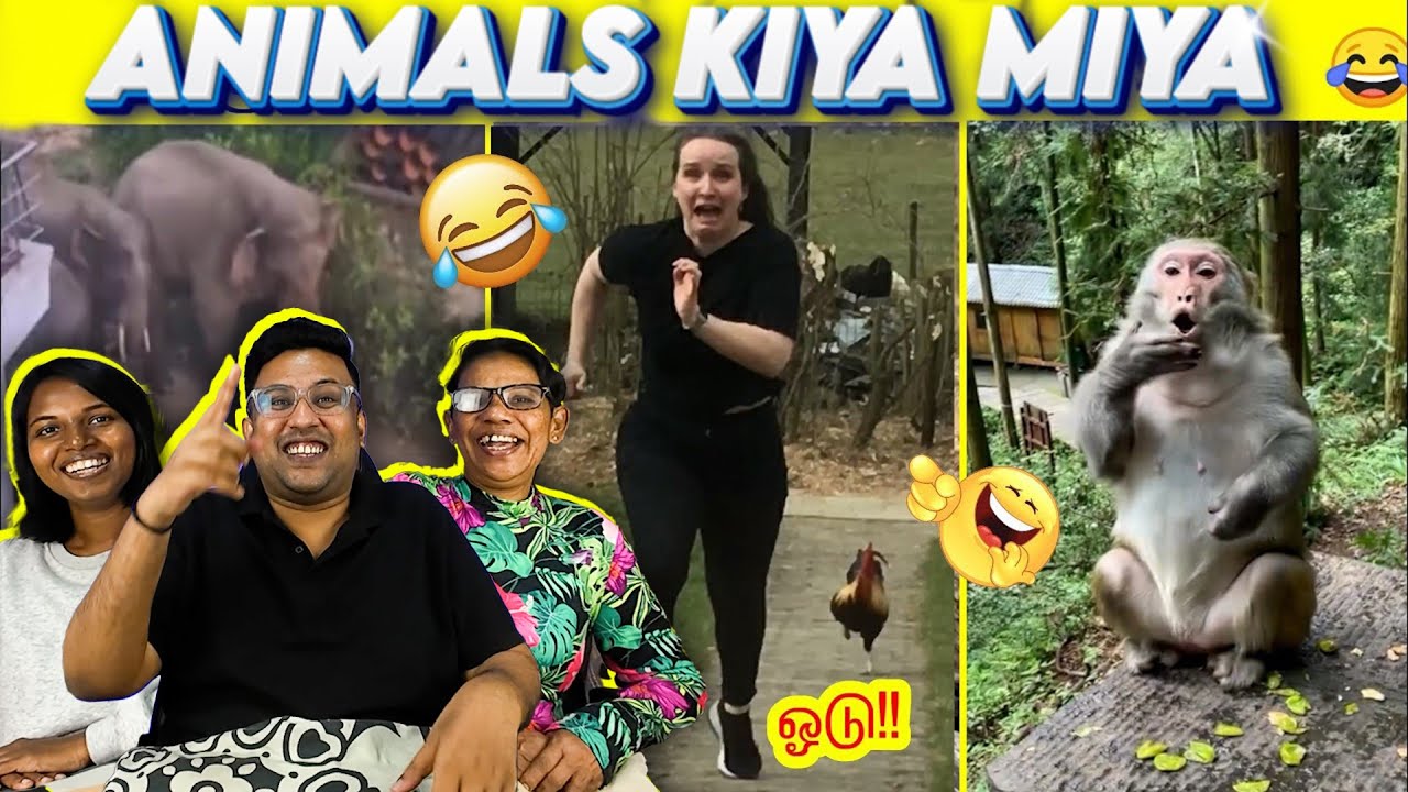 ANIMALS Kiya Miya Reaction 😂 | Ramstk Family -Mysterious World Tamil-