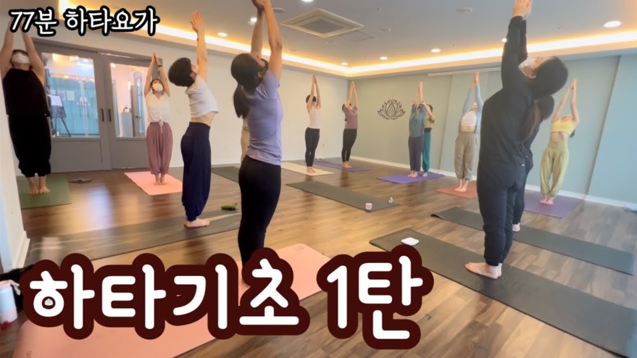 [엔젤요가] 하타기초1탄 | 현자세시리즈 | 수리야나마스까르 | 브릿지자세 | 천천히 따라해 보세요.