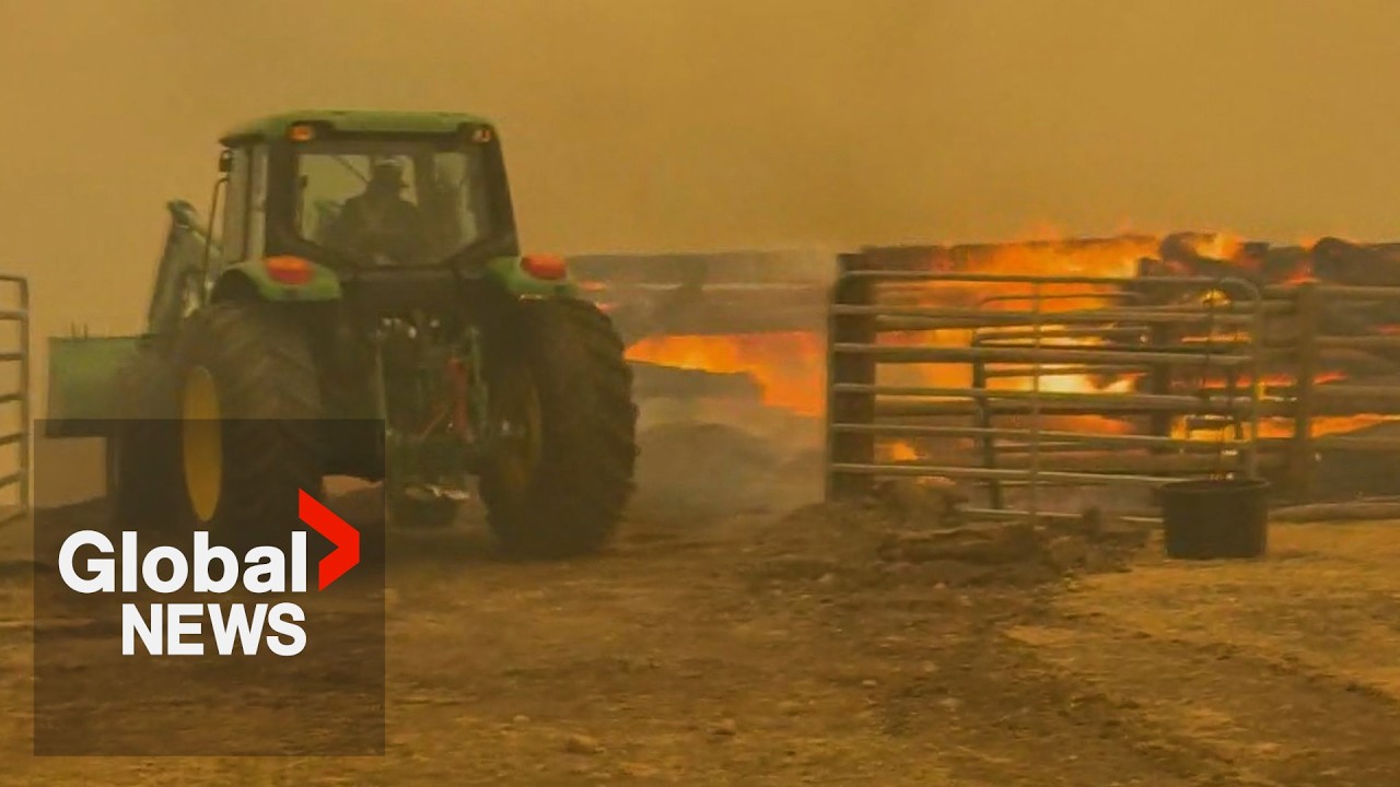 Pear Lake wildfire: BC ranch goes up in flames