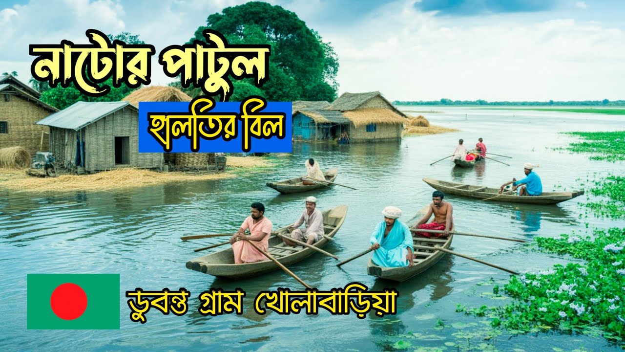 নাটোরের খোলাবাড়িয়া গ্রামের ডুবন্ত জীবনের আসল গল্প। Halti Beel Natore।হালতির বিল, নাটোর, পাটুল |